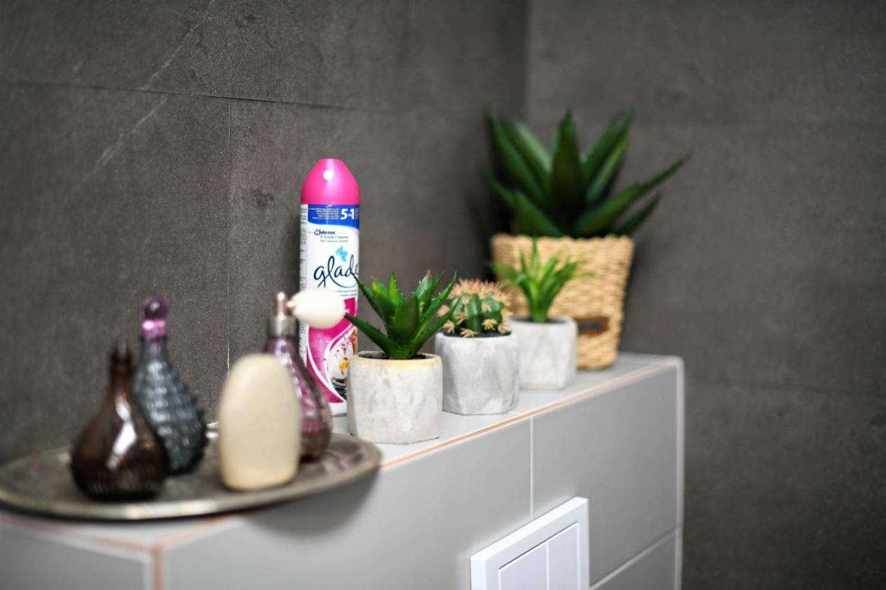 Andrea Apartments Cluj-Napoca Eksteriør billede